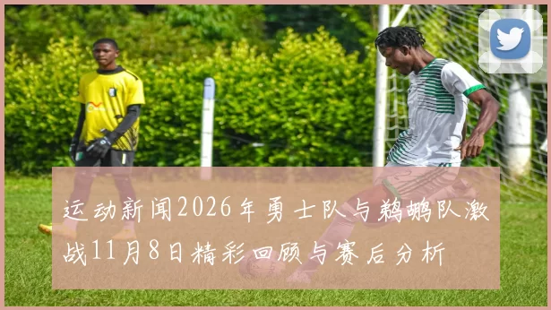 运动新闻2026年勇士队与鹈鹕队激战11月8日精彩回顾与赛后分析