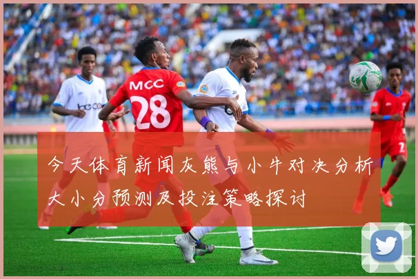 今天体育新闻灰熊与小牛对决分析大小分预测及投注策略探讨
