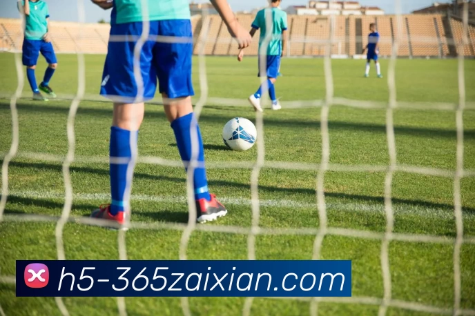 App Interface Preview