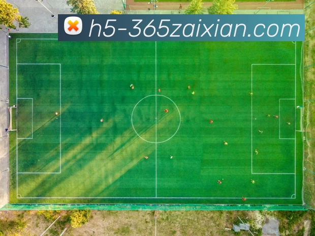 在线365APP 封面图